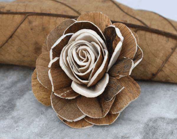 Tecksoi Rosamia Sola Wood Flower Premium Quality 100% Natural Pack OF 12