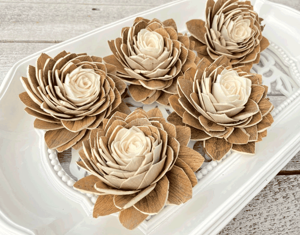 Tecksoi Sahara Sola Wood Flower Premium Quality 100% Natural Pack Of 12