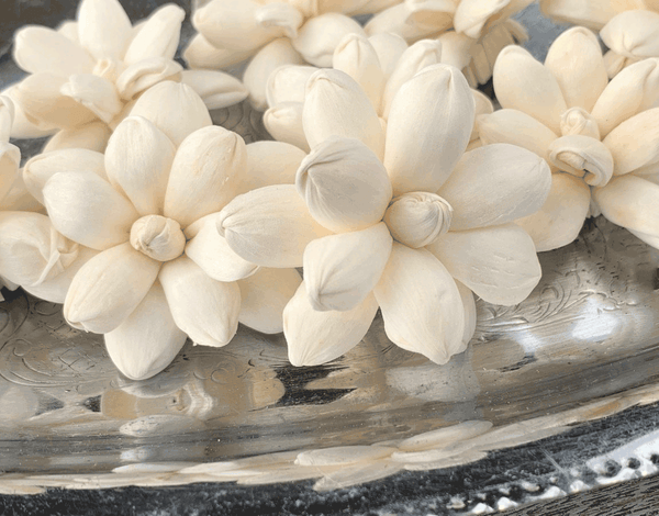 Tecksoi Shelia Sola Wood Flower Premium Quality 100% Natural Pack Of 12