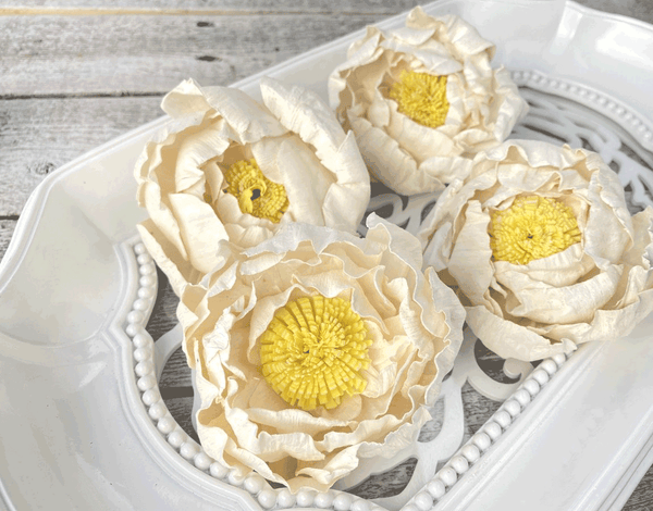 Tecksoi Silk Wind Sola Wood Flower Premium Quality 100% Natural Pack Of 12