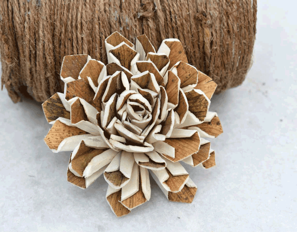 Tecksoi Skin Dahlia Sola Wood Flower Premium Quality 100% Natural Pack Of 12