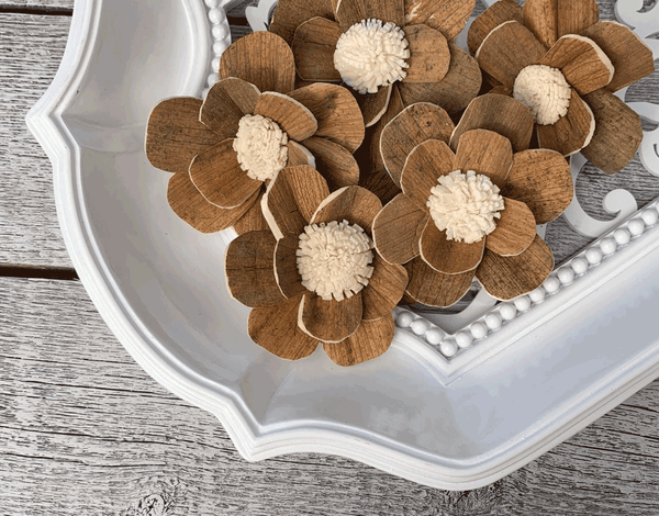 Tecksoi Skin Ruby Sola Wood Flower Premium Quality 100% Natural Pack Of 12