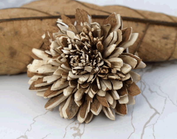 Tecksoi Skin Zinnia Sola Wood Flower Premium Quality 100% Natural Pack Of 12