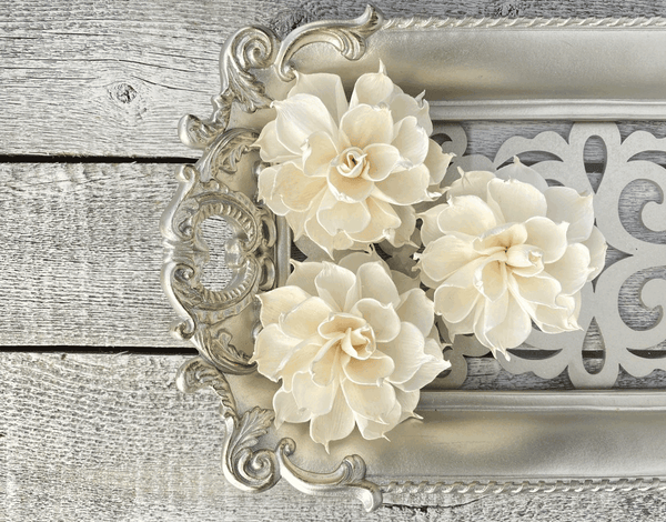 Tecksoi Snow White Sola Wood Flower Premium Quality 100% Natural Pack Of 12