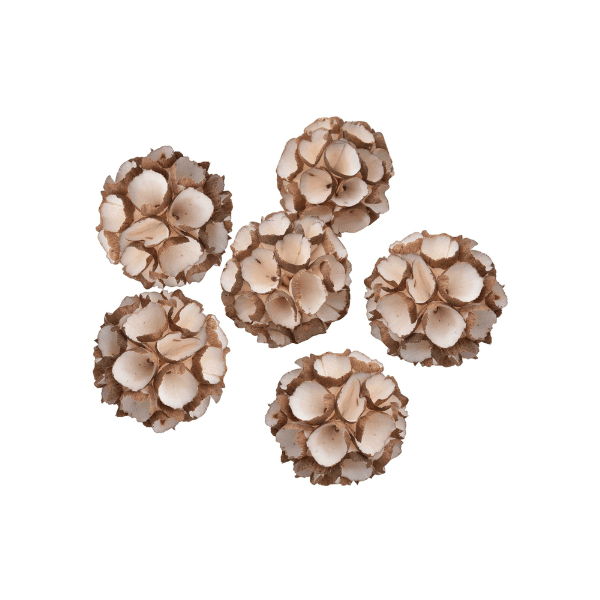 Tecksoi Sola Bark Creep Ball | Decorating Ball | 100% Natural | Eco Friendly | Pack Of 12