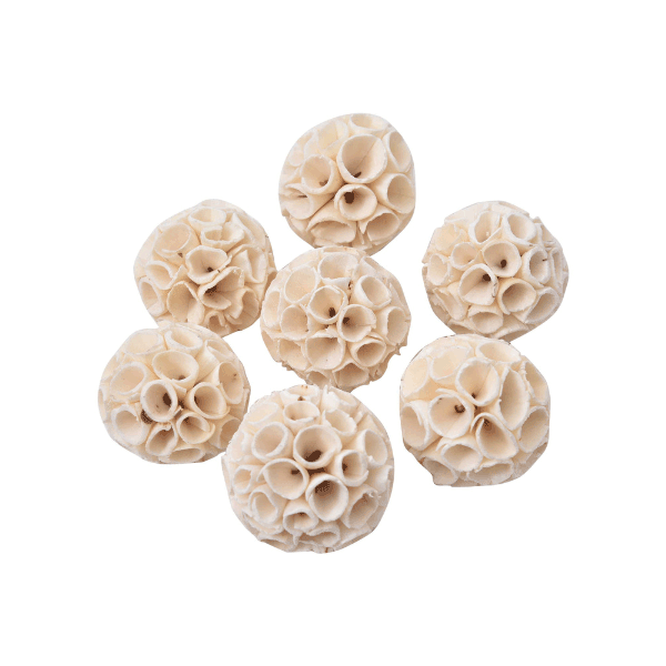 Tecksoi Sola Creep Ball | Decorating Ball | Eco Friendly | 100% Natural | Pack Of 12