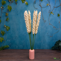 Tecksoi Sola Rajanigandha Flower Sticks – Premium Handcrafted Sola Wood Dry Flower Decor for Home & Event Decoration | Pack Of 5