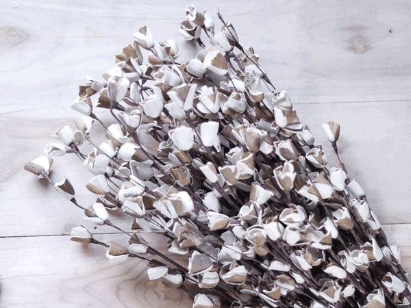 Tecksoi Sola Wood Skin Lily Flower Stick Premium Quality 100% Natural Pack Of 10