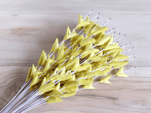 Tecksoi Sola Yellow Thron Stick Premium Quality 100% Natural Pack Of 10