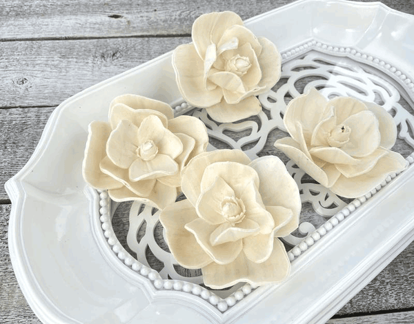 Tecksoi Soneria Sola Wood Flower Premium Quality 100% Natural Pack Of 12