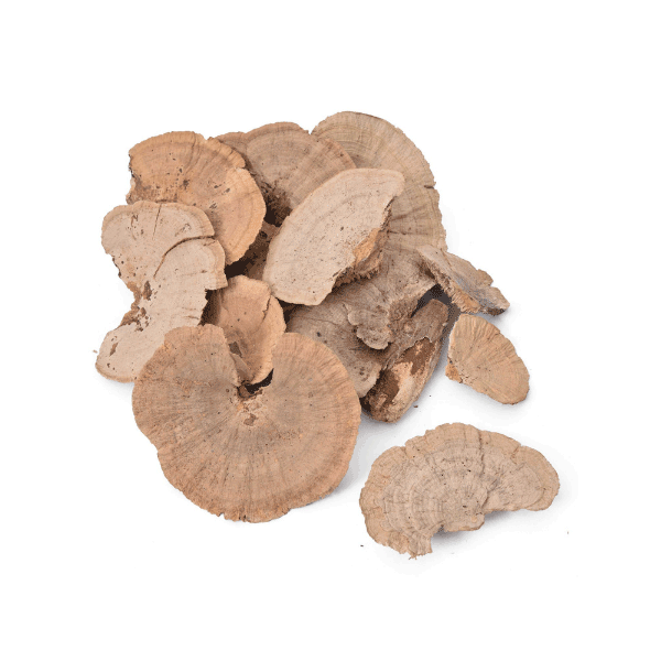 Tecksoi Sponge Mushroom Dry Exotic Pack Of 12