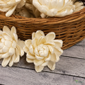 Tecksoi Spiral Petal Sola Wood Flower – Artistic Handcrafted Floral Decor with Real Flower-Like Elegance | Pack Of 10