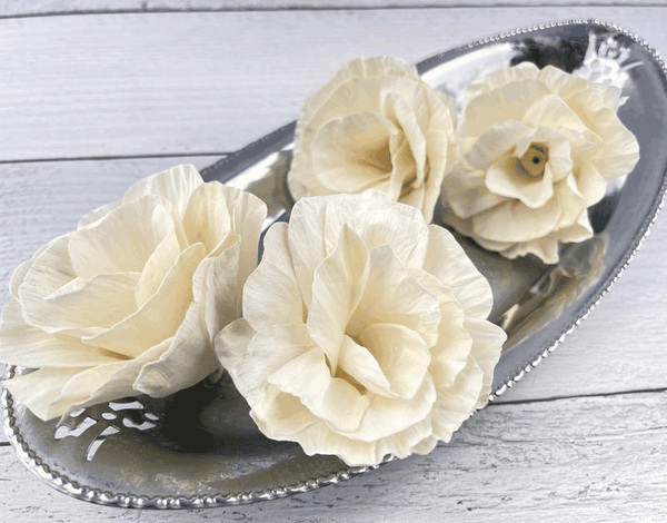 Tecksoi Stalin Sola Wood Flower Premium Quality 100% Natural Pack Of 12