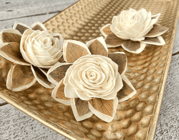 Tecksoi Starlight Rose Sola Wood Flower Premium Quality 100% Natural Pack Of 12