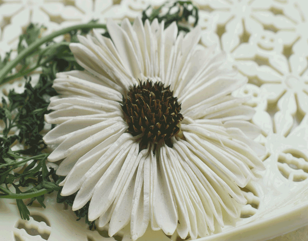 Tecksoi Sunflower Sola Wood Flower Premium Quality 100% Natural Pack Of 12