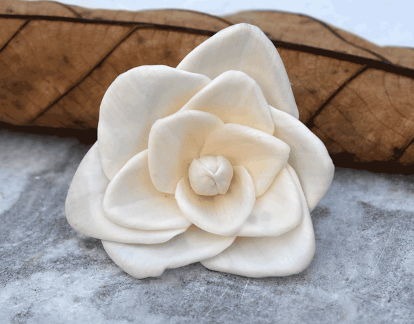 Tecksoi Tiara Sola Wood Flower Premium Quality 100% Natural Pack Of 12