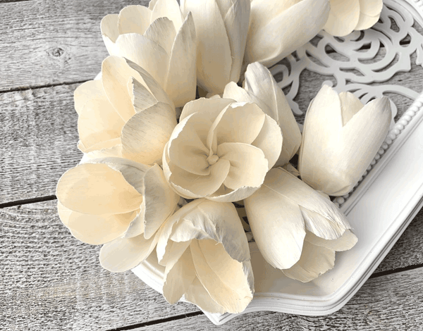 Tecksoi Tulip Sola Wood Flower Premium Quality 100% Natural Pack Of 12