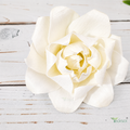 Tecksoi Twist Curve Sola Wood Flower – Artistic Handcrafted Floral Decor with Modern Elegance | Pack Of 0