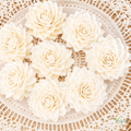 Tecksoi Waterlily Sola Wood Flower – Elegant Handcrafted Floral Decor with Natural Serenity | Pack Of 10