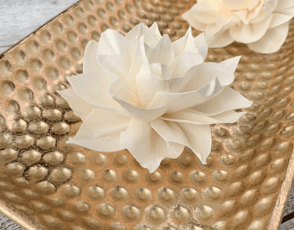 Tecksoi Wedding Rose Sola Wood Flower Premium Quality 100% Natural Pack Of 12