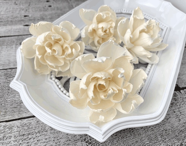 Tecksoi Whisper Sola Wood Flower Premium Quality 100% Natural Pack Of 12