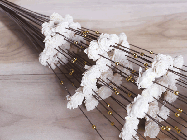 Tecksoi White Coco Belle Moti Sola Wood Flower Stick Premium Quality 100% Natural Pack Of 10