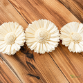 Tecksoi White Gerbera Sola Wood Flower – Handcrafted Premium Floral Decor for Elegant Living | Pack Of 10