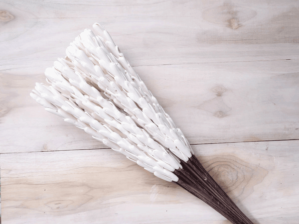 Tecksoi White Long Pine Sola Wood Flower Stick Premium Quality 100% Natural Pack Of 10