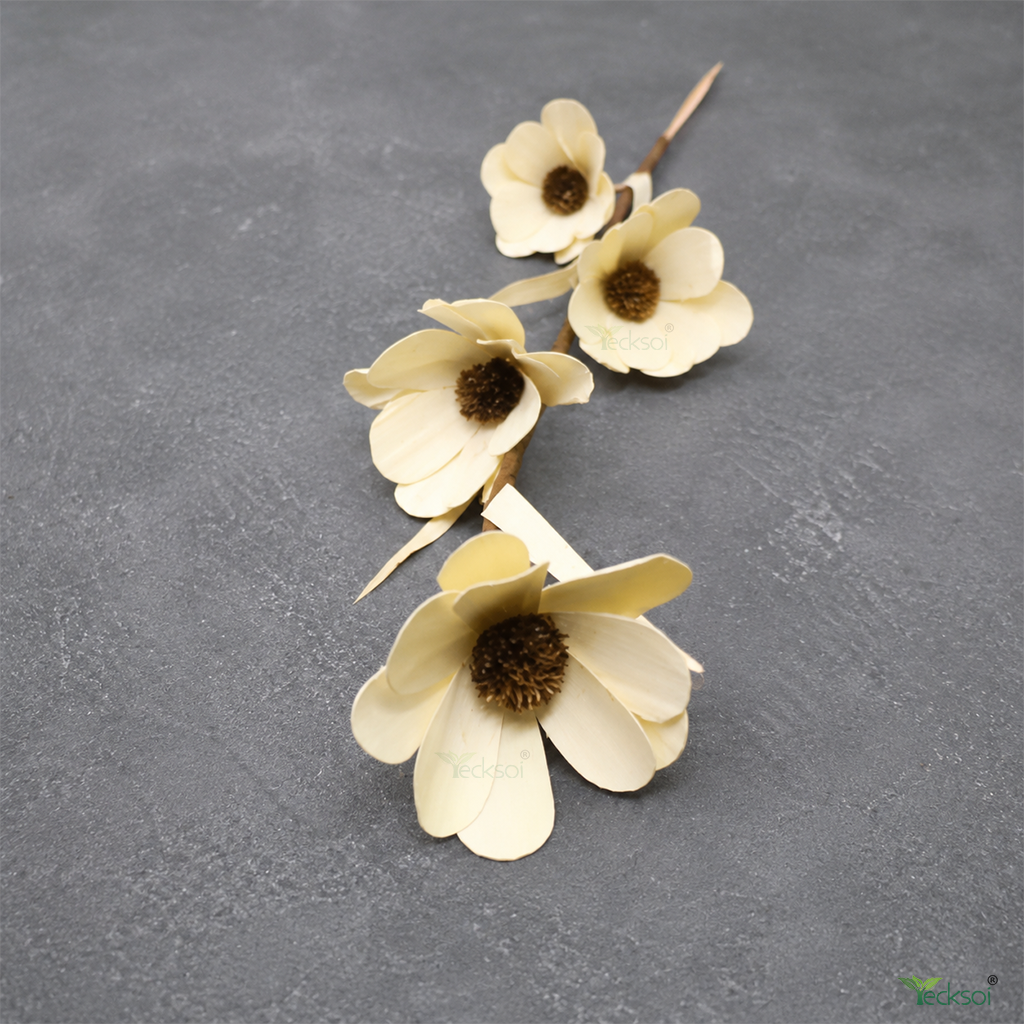 Tecksoi White Palm Daisy Flower Sticks – Handmade Premium Palm Leaf Dry Flower Decor for Home & Event Decoration | Pack Of 5