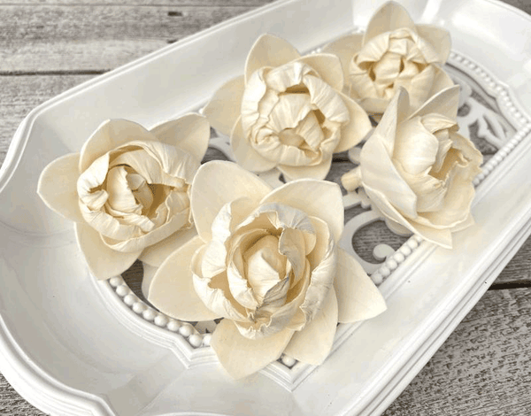 Tecksoi White Pearl Sola Wood Flower Premium Quality 100% Natural Pack Of 12