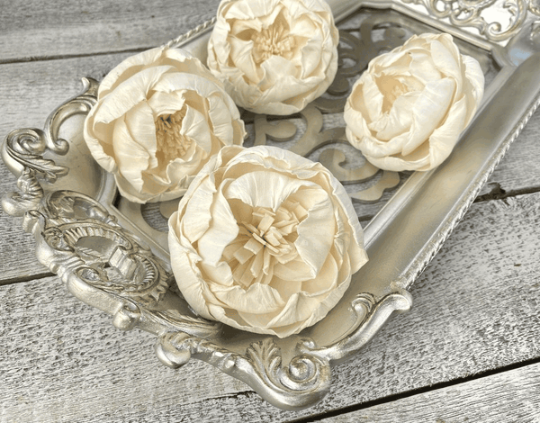 Tecksoi White Peony Sola Wood Flower Premium Quality 100% Natural Pack Of 12