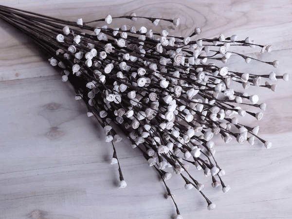 Tecksoi White Sweet Buds Sola Wood Flower Stick Premium Quality 100% Natural Pack Of 10