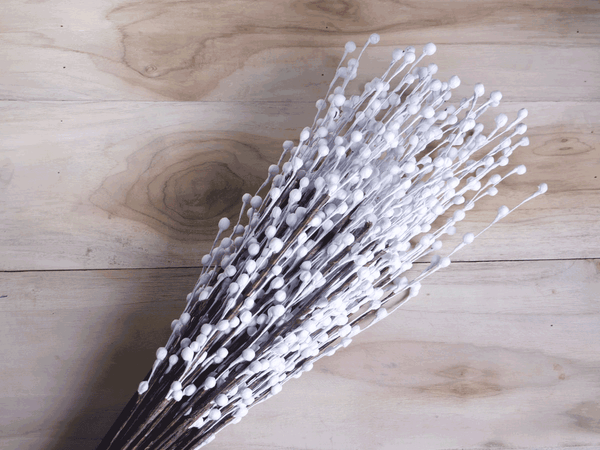 Tecksoi White Thermocol Stick Premium Quality 100% Natural Pack Of 10