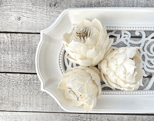 Tecksoi Wild Mustard Sola Wood Flower Premium Quality 100% Natural Pack Of 12