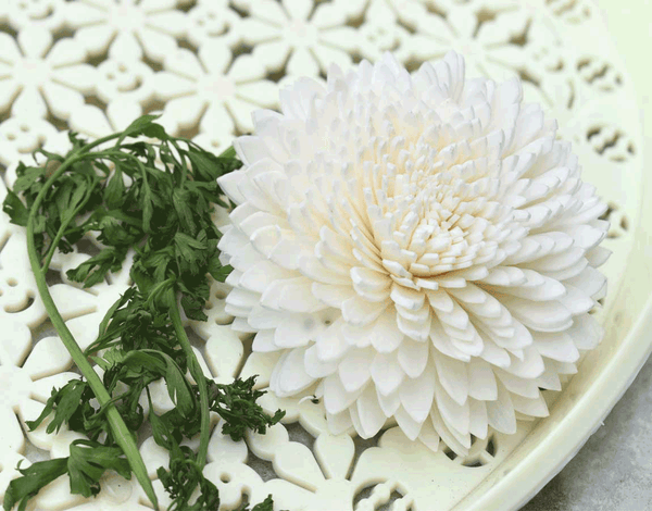 Tecksoi Wild Zinnia Sola Wood Flower Premium Quality 100% Natural Pack Of 12