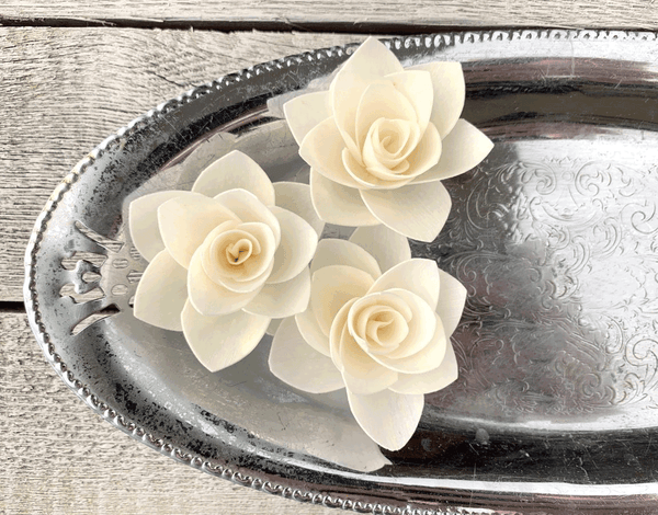 Tecksoi Winter Rose Sola Wood Flower Premium Quality 100% Natural Pack Of 12