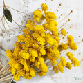 Tecksoi Yellow Coco Belle Sola Wood Flower Sticks | Pack Of 5 | Premium Quality