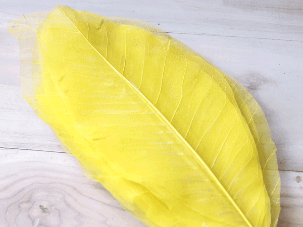 Tecksoi Yellow Skeleton Long Leaf With Stem | 100% Natural | Eco Friendly | Premium Quality | Pack Of 12