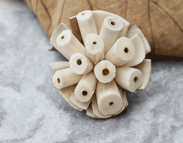 Tecksoi Burl Sola Wood Flower Premium Quality 100% Natural Pack Of 12