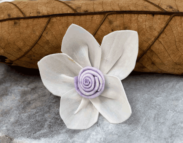 Tecksoi Cassia Sola Wood Flower Premium Quality 100% Natural Pack Of 12